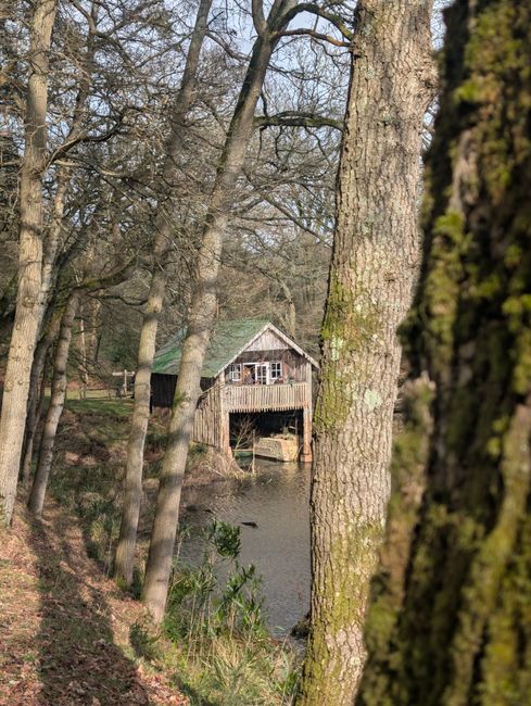 A rustic wooden watermill cottage with a weathered, grayish-brown exterior and a sloped roof, situated amidst a tranquil forested area next to a small river. The watermill features a partially open lo